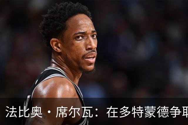 法比奥·席尔瓦：在多特蒙德争取冠军是我们的追求